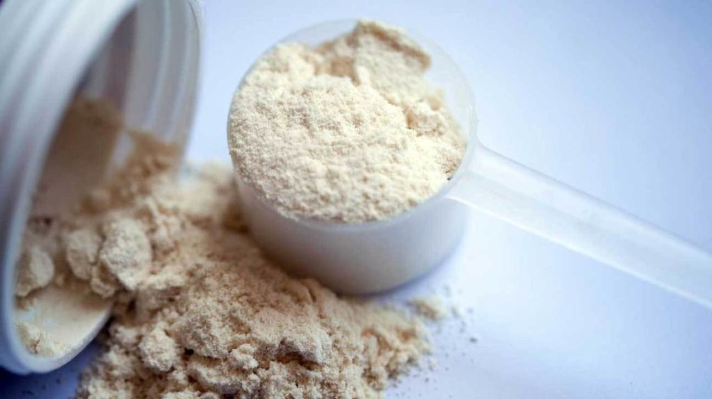 Protein Powder Manufacturers in India