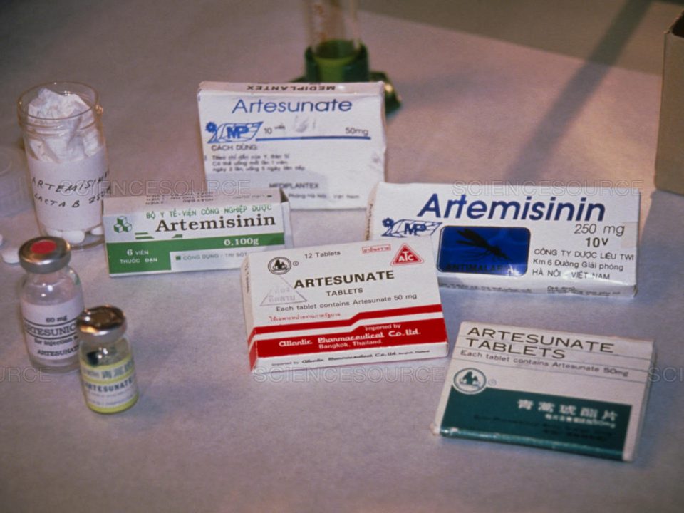 Antimalarial Drugs Manufacturers in India