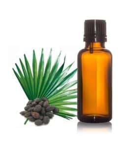 Saw Palmetto Manufacturers in India